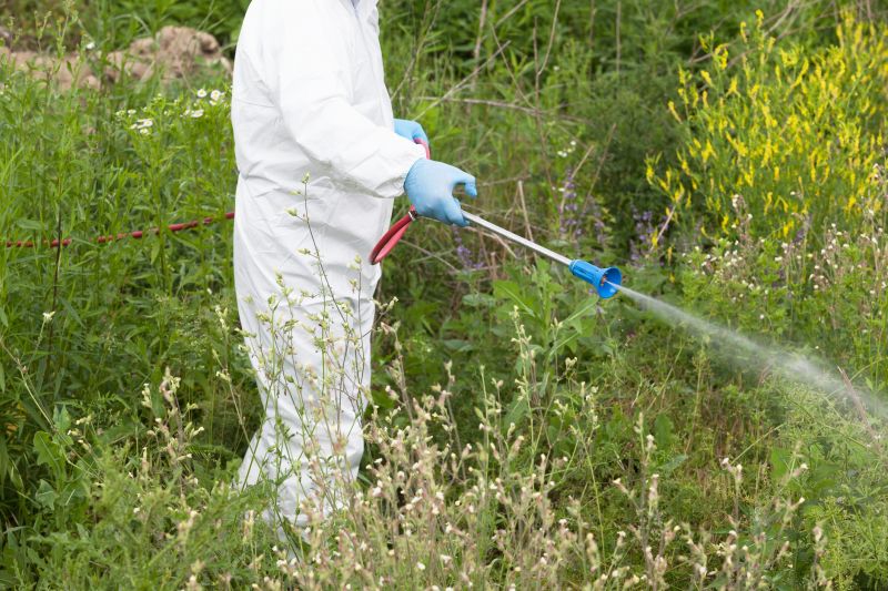 Weed Control Service