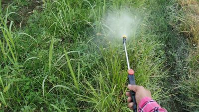 Get Weed Spraying Services!